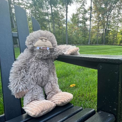 Tall Tails Stuffless Bigfoot With Squeaker Toy for Dogs 20"