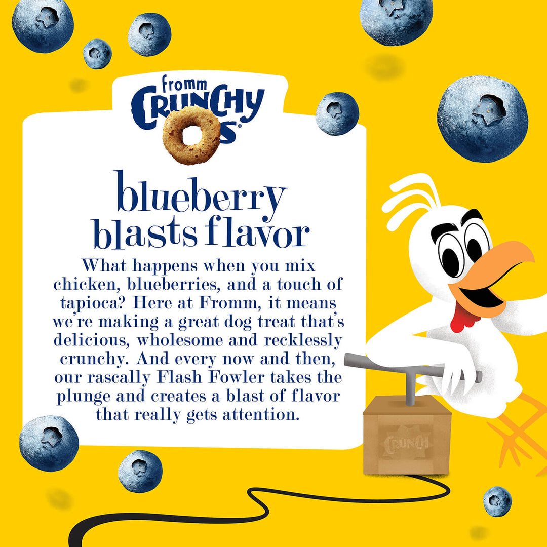 Fromm Crunchy O's Blueberry Blast Dog Treats 6oz
