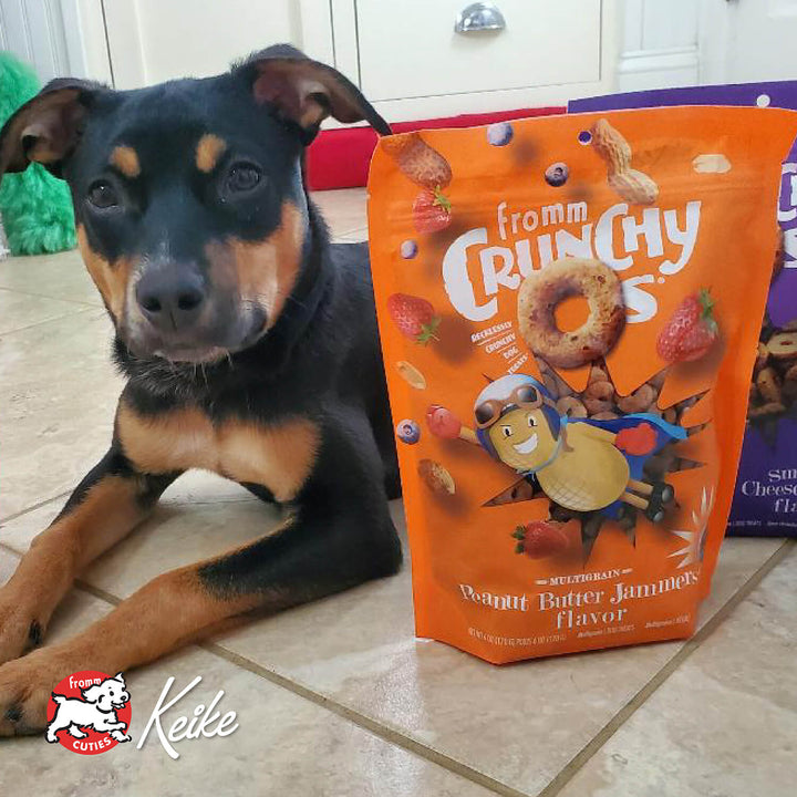 Fromm Crunchy O's Peanut Butter Jammers Dog Treats 6oz