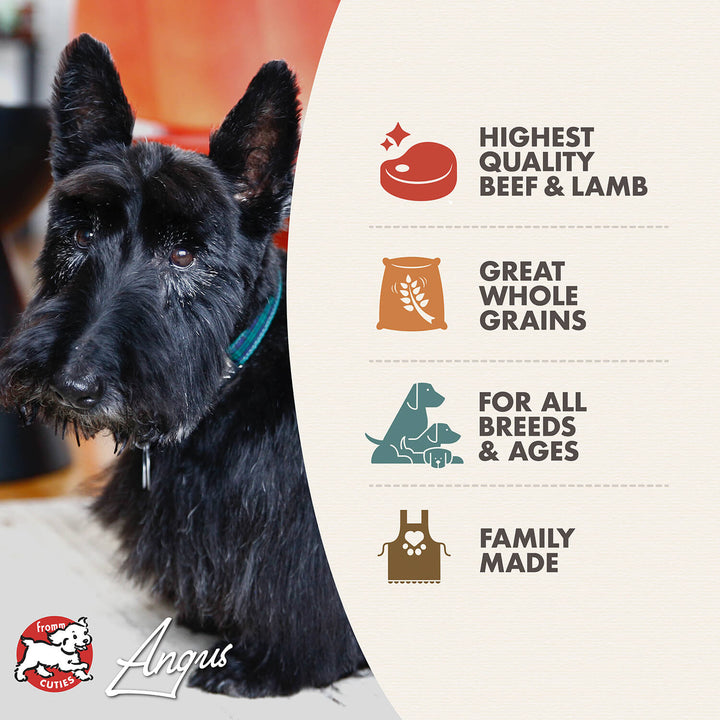 Fromm Dog Highlander Beef Oats Dry Dog Food 26lb