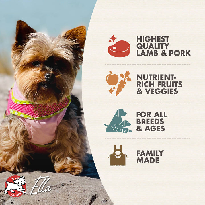 Fromm Four Star Dog Lamb & Lentil Recipe Dry Dog Food 26lb