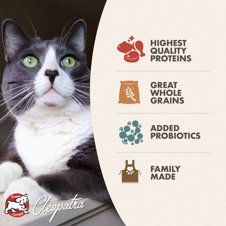 Fromm Gold Healthy Weight Dry Cat Food 10lb