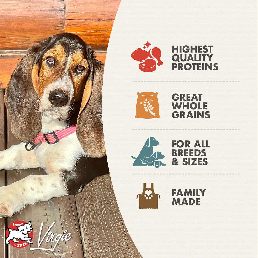 Fromm Gold Adult Dry Dog Food 30lb