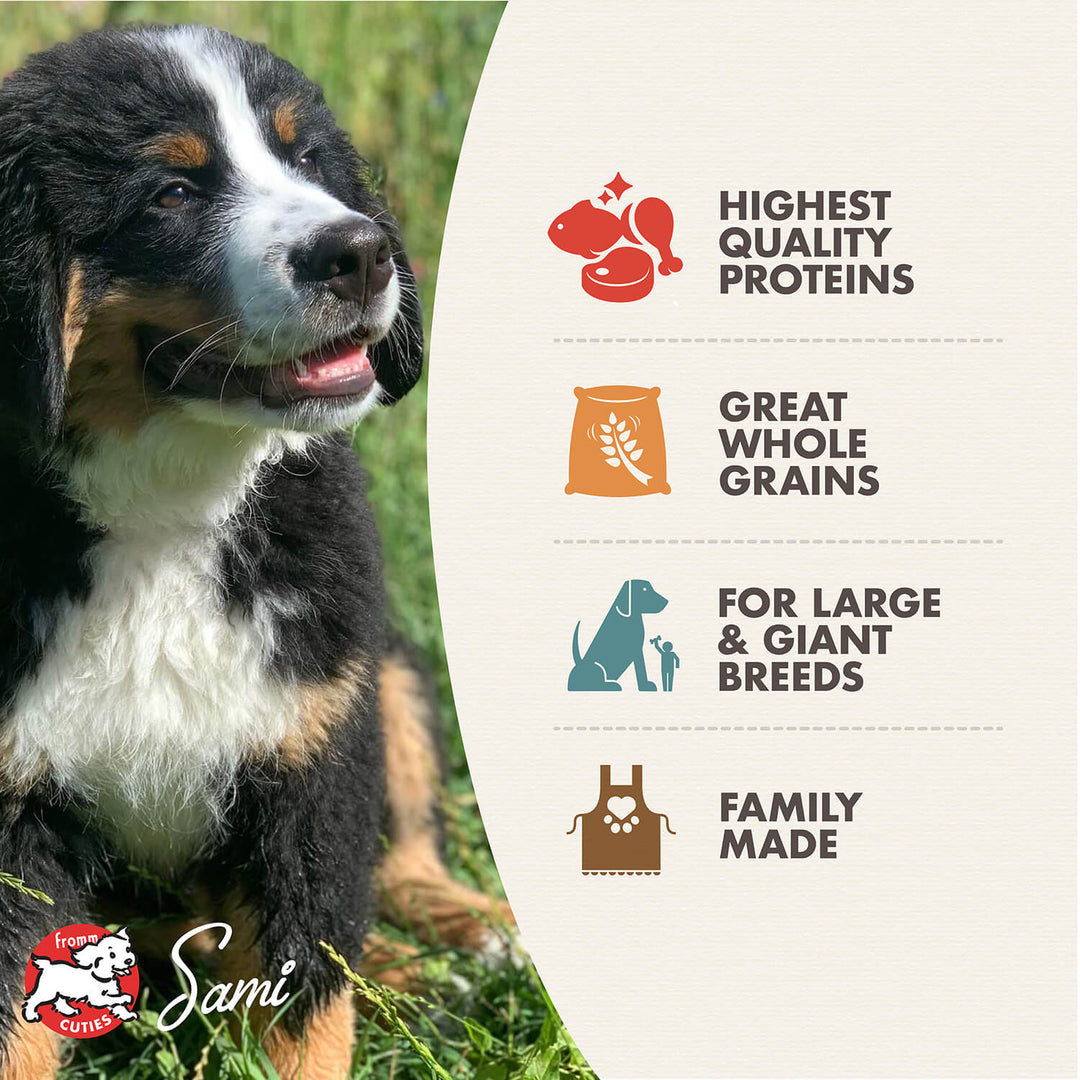 Fromm Gold Large Breed Puppy Recipe Dry Dog Food 30lb