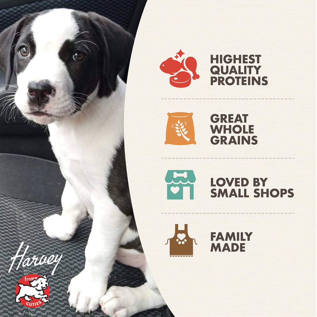 Fromm Gold Puppy Recipe Dry Dog Food 5lb