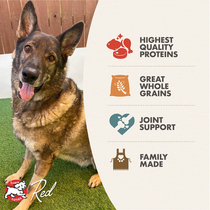 Fromm Gold Large Breed Adult Dry Dog Food 30lb