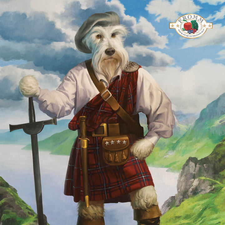 Fromm Dog Highlander Beef Oats Dry Dog Food 26lb