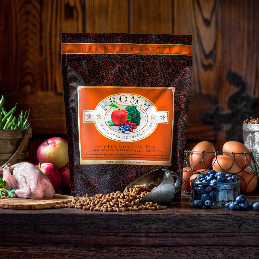 Fromm Four Stars Game Bird Recipe Dry Cat Food 4lb