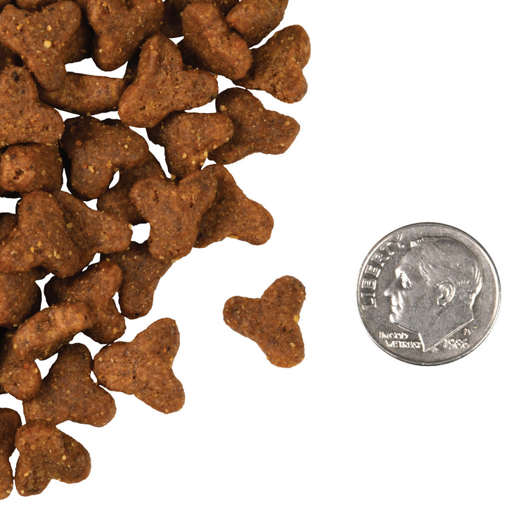 Fromm Four Stars Game Bird Recipe Dry Cat Food 4lb