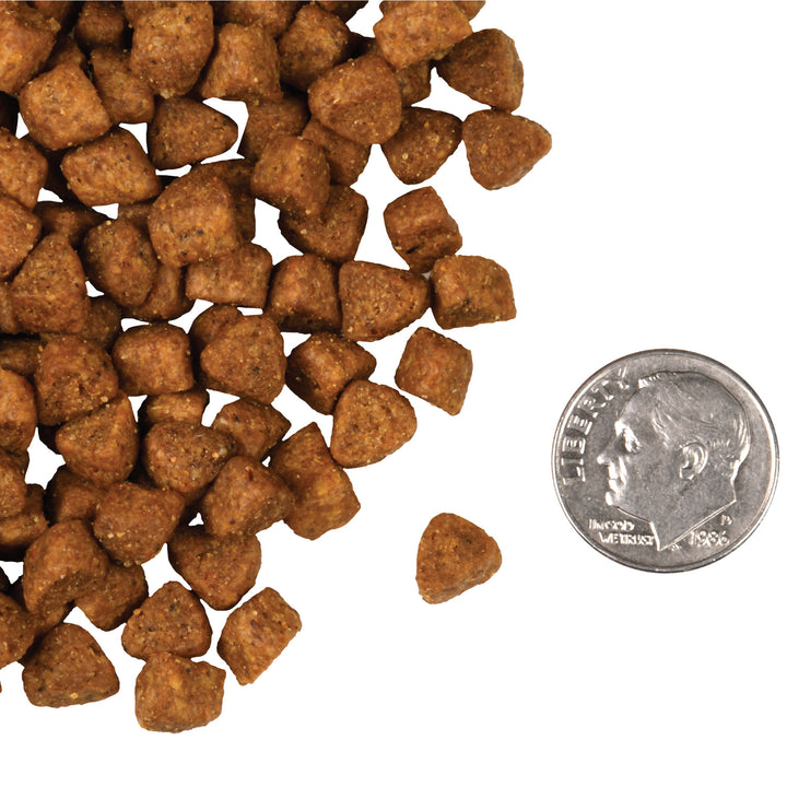 Fromm Four Stars Hasen Duckenpfeffer Dry Cat Food 4lb