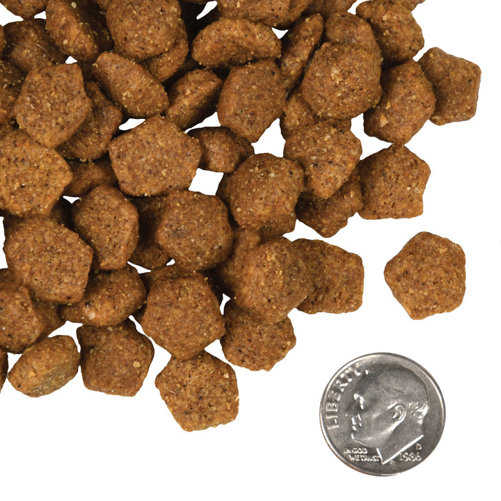 Fromm Four Stars Grain Free Game Bird Dry Dog Food 4lb