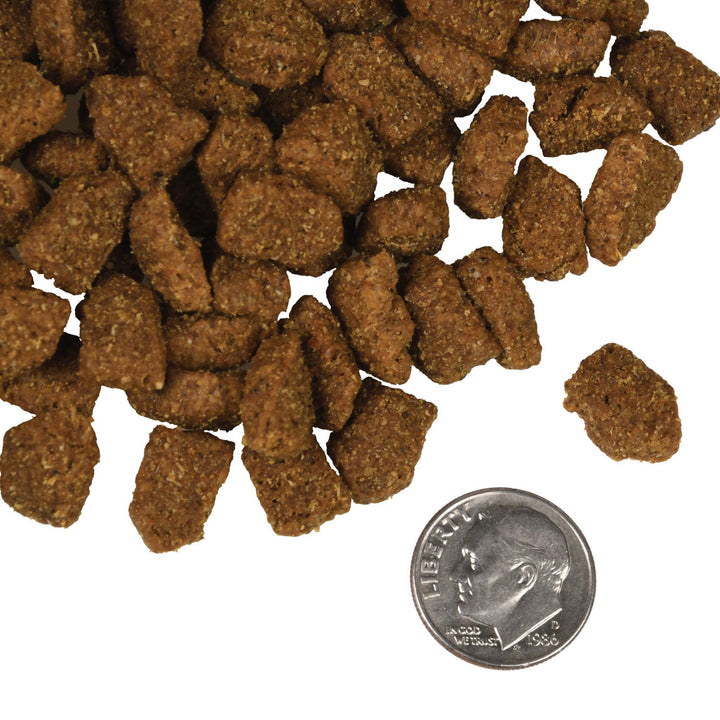Fromm Dog Highlander Beef Oats Dry Dog Food 26lb