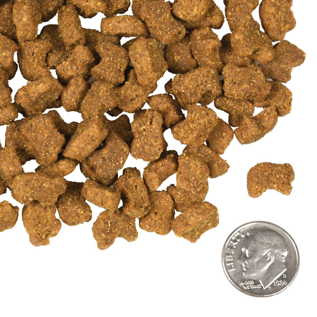 Fromm Four Star Dog Lamb & Lentil Recipe Dry Dog Food 26lb