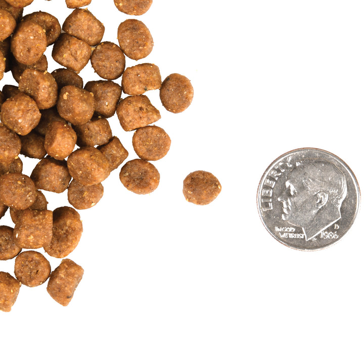 Fromm Gold Adult Cat Dry Cat Food 10lbs