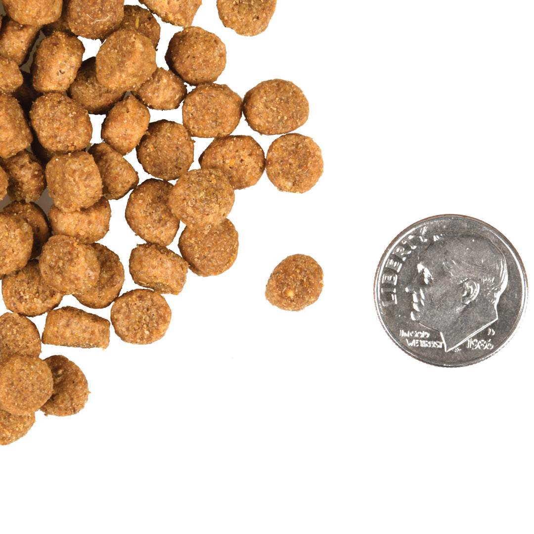 Fromm Gold Healthy Weight Dry Cat Food 10lb
