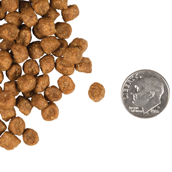 Fromm Gold Indoor Cat Dry Cat Food 10lb