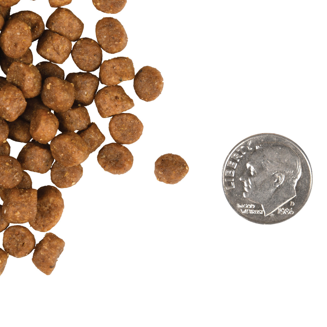 Fromm Gold Kitten Dry Cat Food 4lb