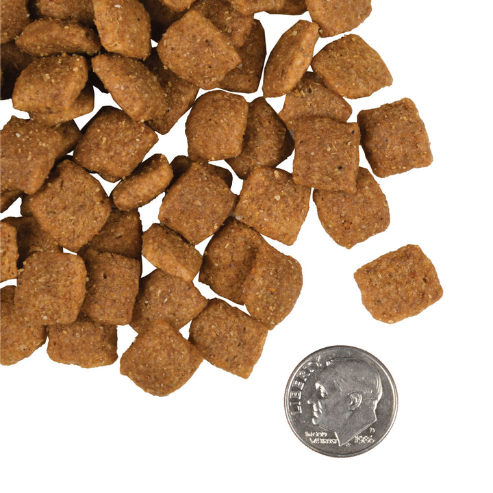 Fromm Gold Adult Dry Dog Food 30lb