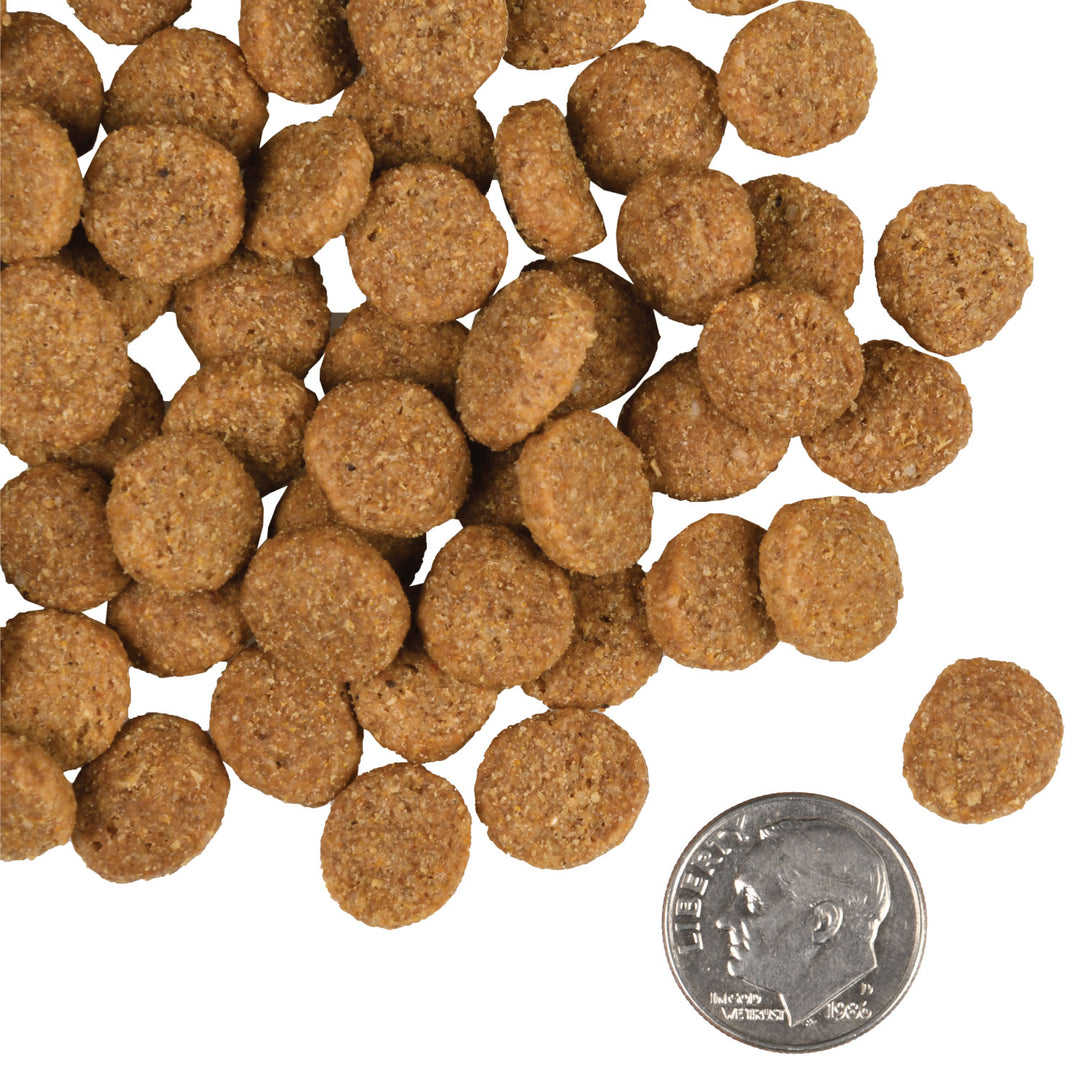 Fromm Gold Large Breed Adult Dry Dog Food 30lb