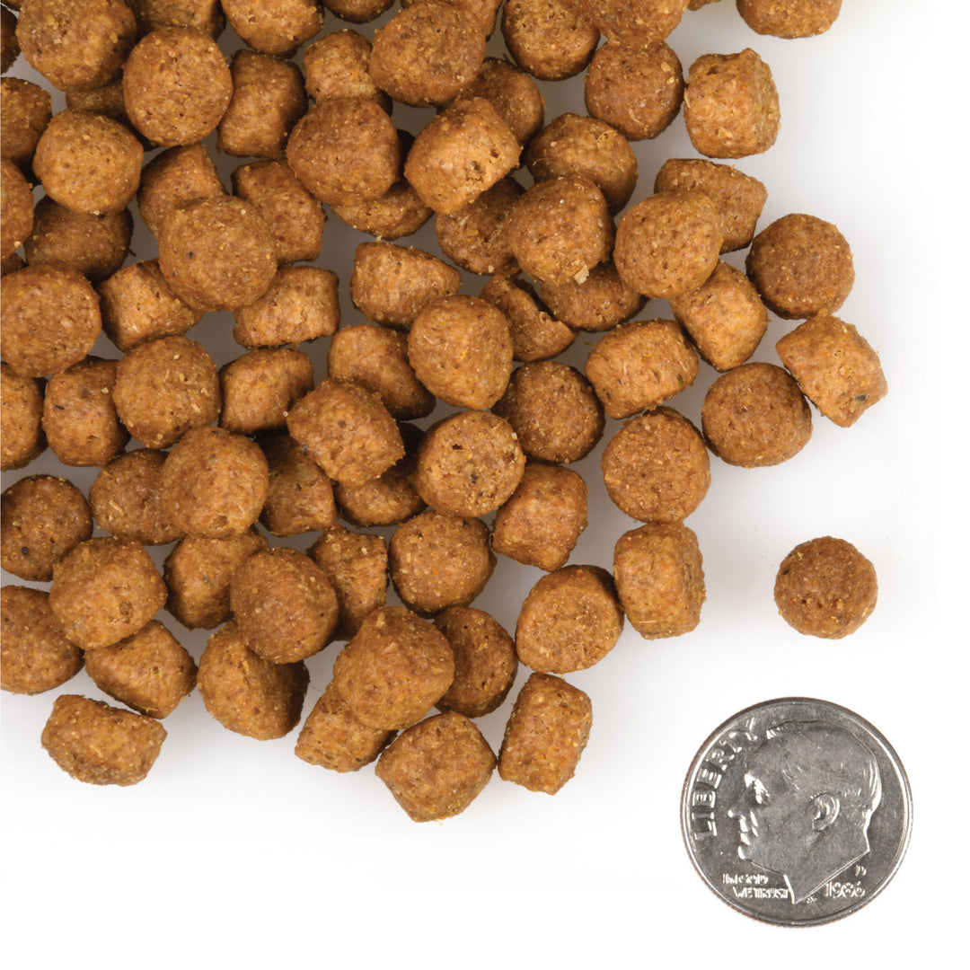 Fromm Gold Large Breed Puppy Recipe Dry Dog Food 30lb