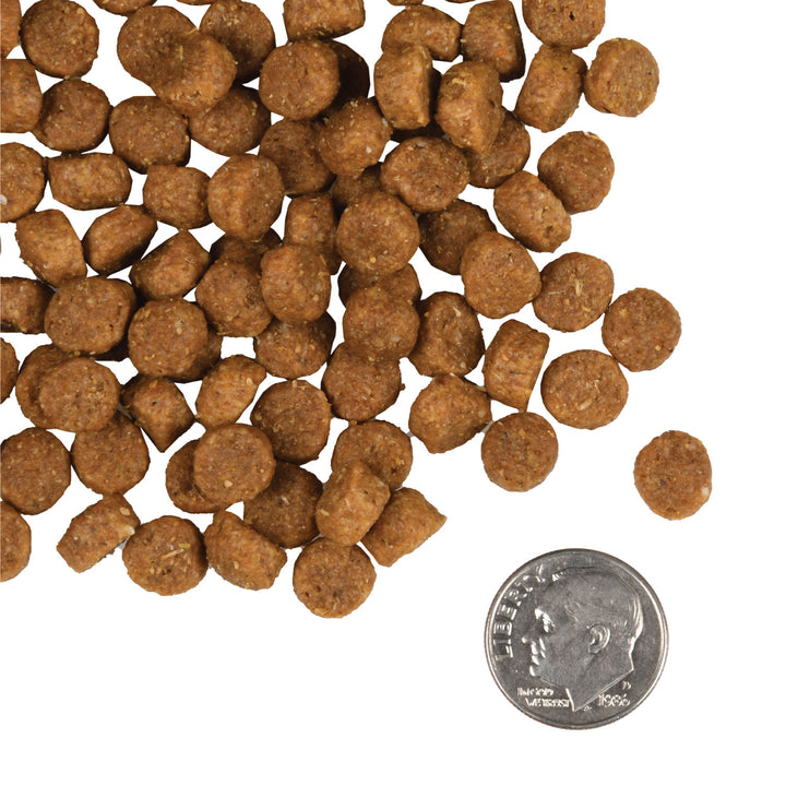 Fromm Gold Puppy Recipe Dry Dog Food 5lb