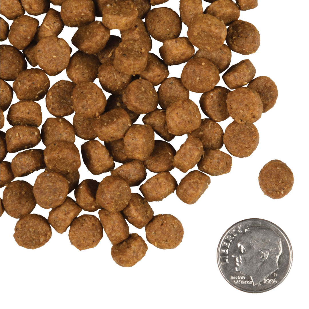Fromm Gold Small Breed Adult Dry Dog Food 5lb