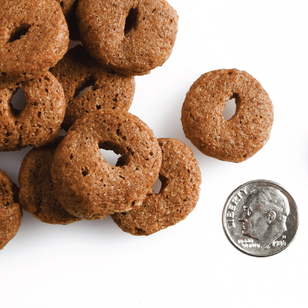 Fromm Crunchy O's Pumpkin Kran POW Dog Treats 6oz
