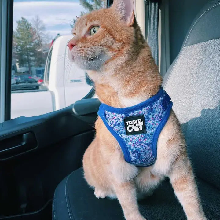 Travel Cat Groovy Cat Harness with Leash Small