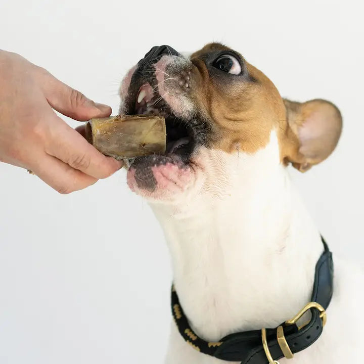 Winnie Lou Bison Marrow Bone for Dogs 4"
