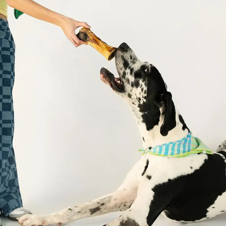 Winnie Lou Bison Marrow Bone for Dogs 6-8"