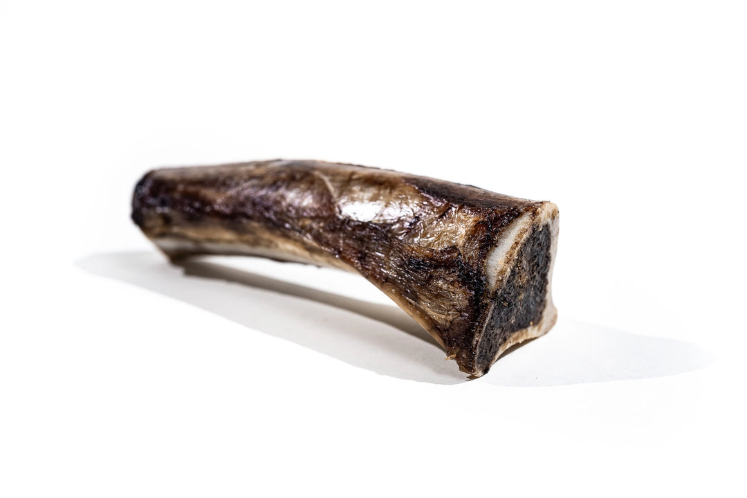 Winnie Lou Bison Marrow Bone for Dogs 6-8"