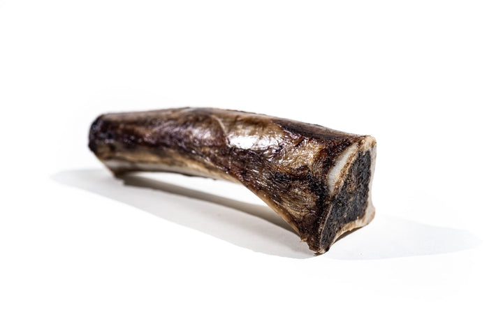 Winnie Lou Bison Marrow Bone for Dogs 6-8"