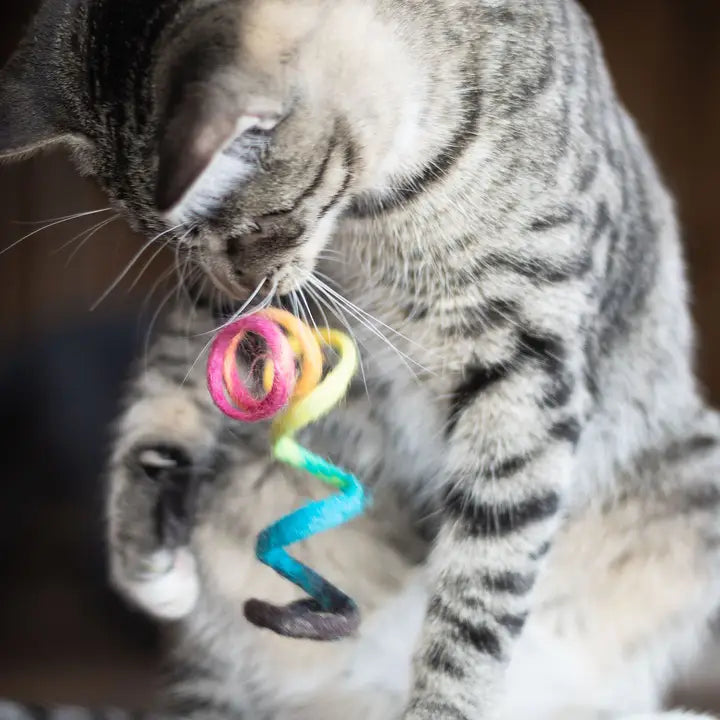 Friendsheep Eco Kitty Wool Spring Cat Toy- Assorted Colors