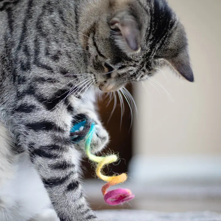 Friendsheep Eco Kitty Wool Spring Cat Toy- Assorted Colors