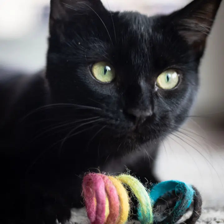 Friendsheep Eco Kitty Wool Spring Cat Toy- Assorted Colors