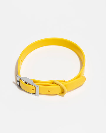 Butter Waterproof Collar