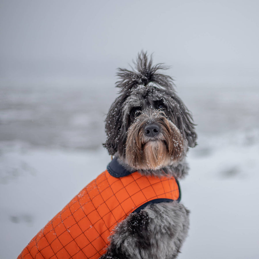 Apus Waterproof Jacket
