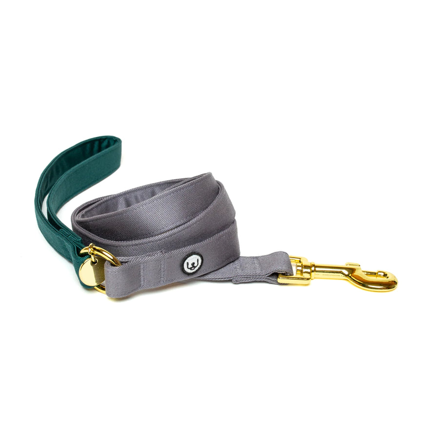 Spruce Gray Leash