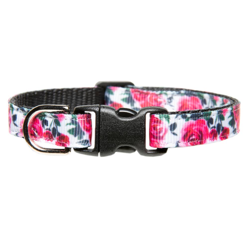 The Best Buds Cat Collar