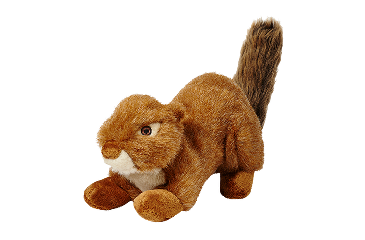 Red Squirrel No Squeak Dog Toy