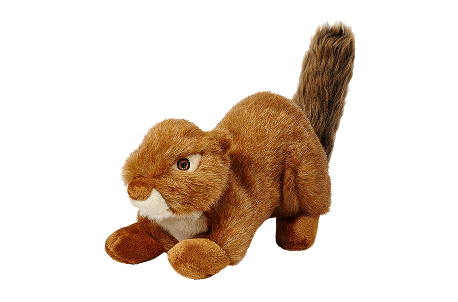 Red Squirrel No Squeak Dog Toy