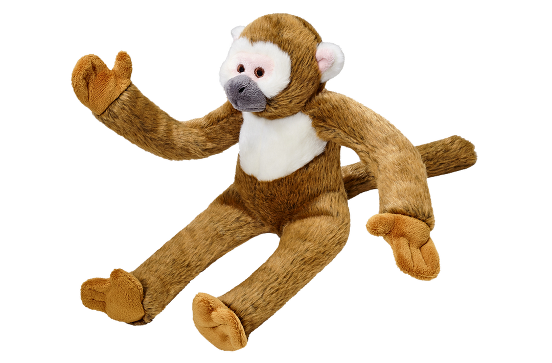 Albert the Squirrel Monkey Dog Toy