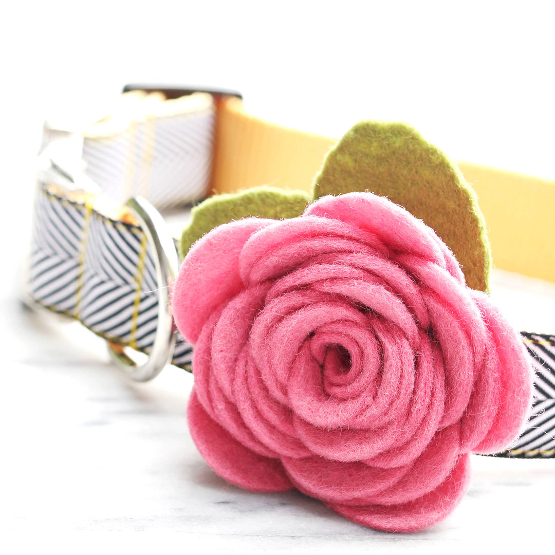 Rose Flower for Collar - English Rose