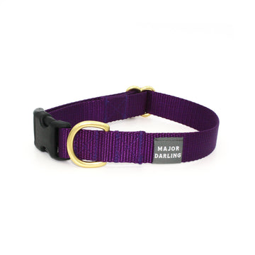 Violet Side-Release Buckle Collar