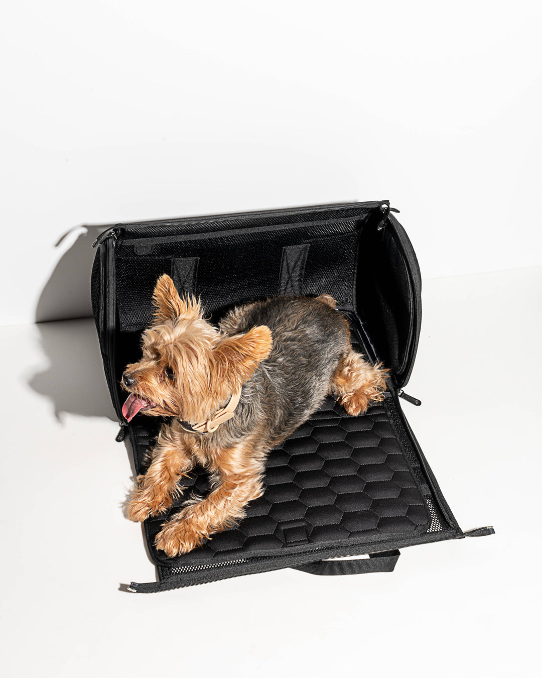 Wild One Air Travel Pet Carrier