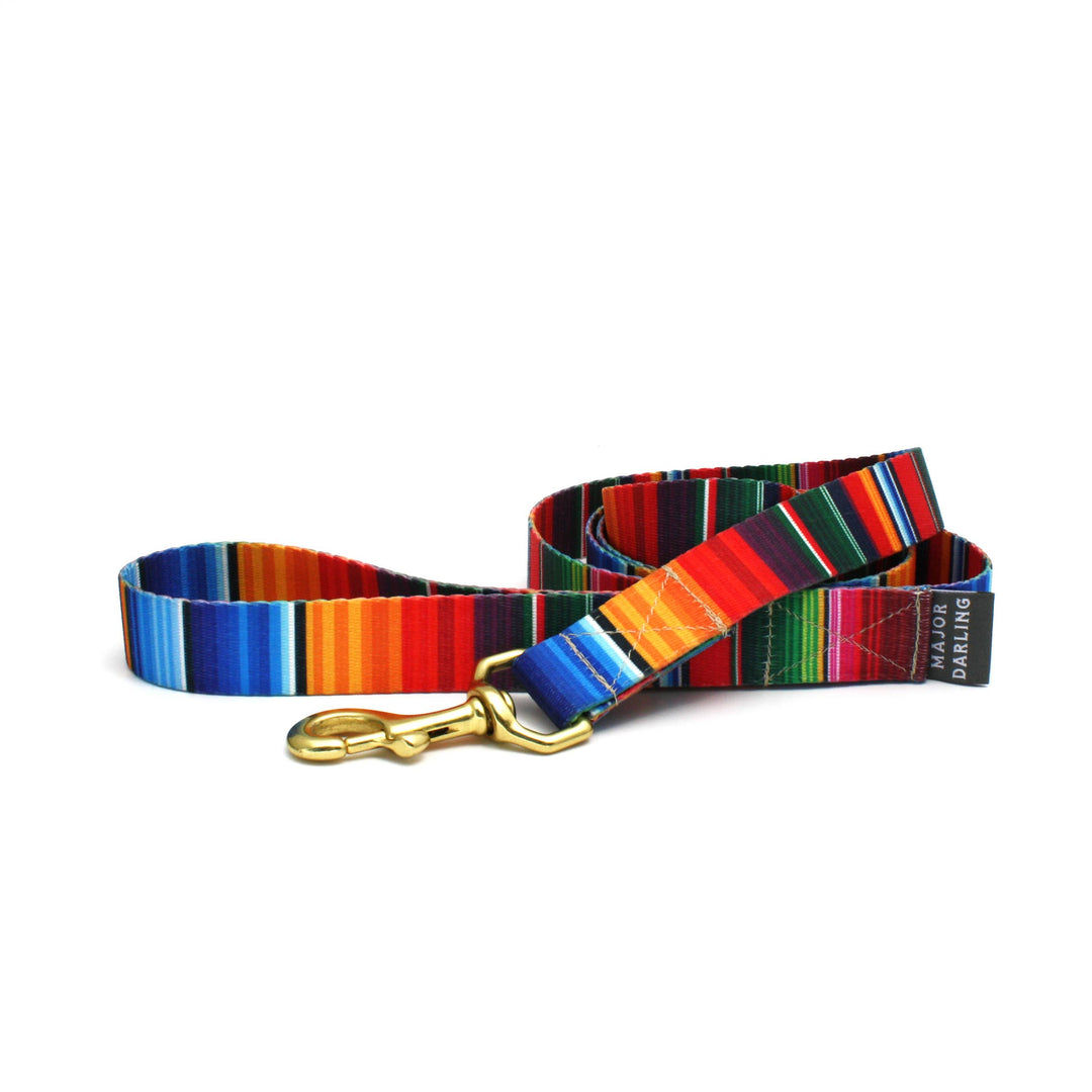 Serape Print Leash