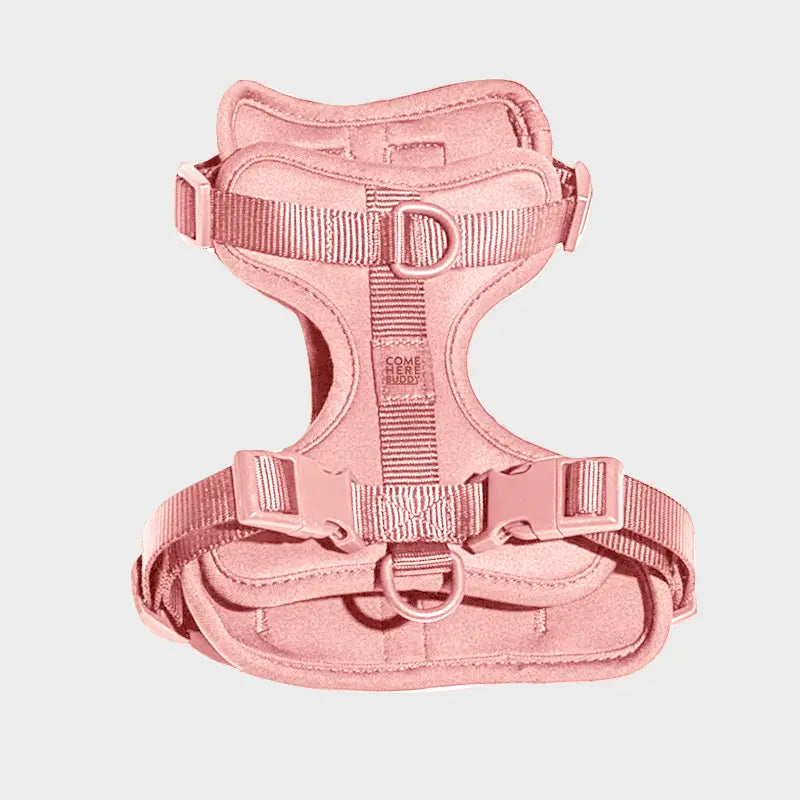 Baby Pink Dog Harness