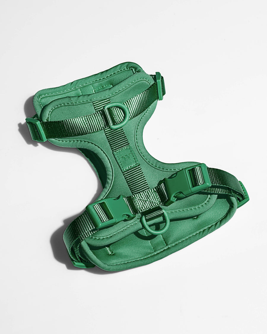 Spruce Harness