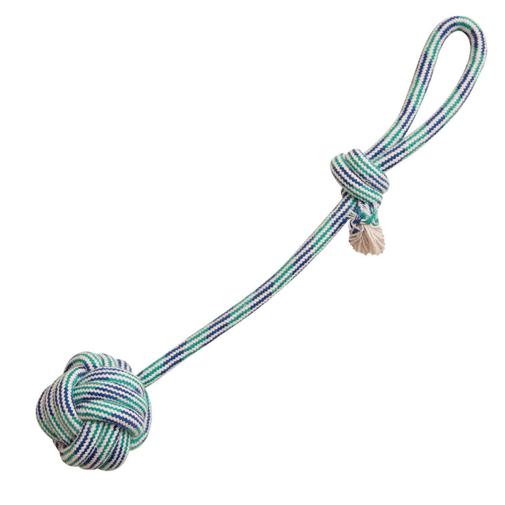 Floss n' Fun Rope Dog Toy