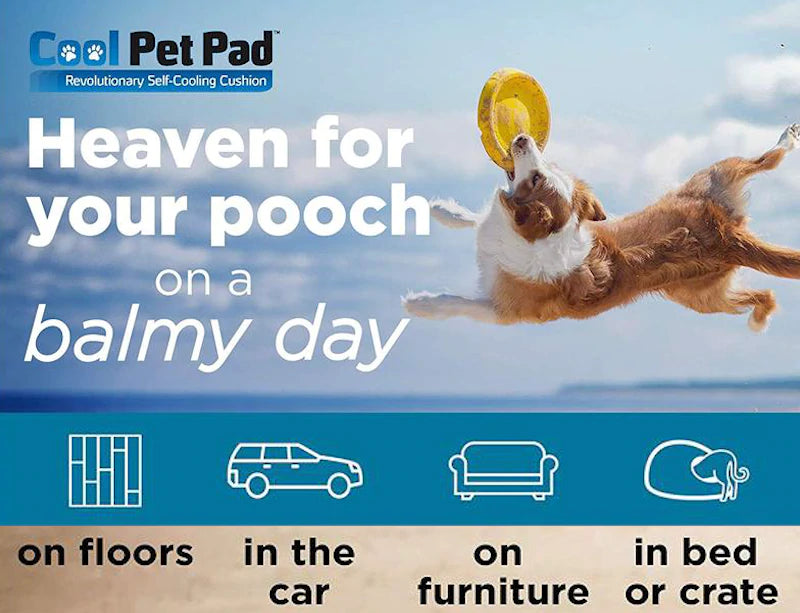 Cooling Pet Mat